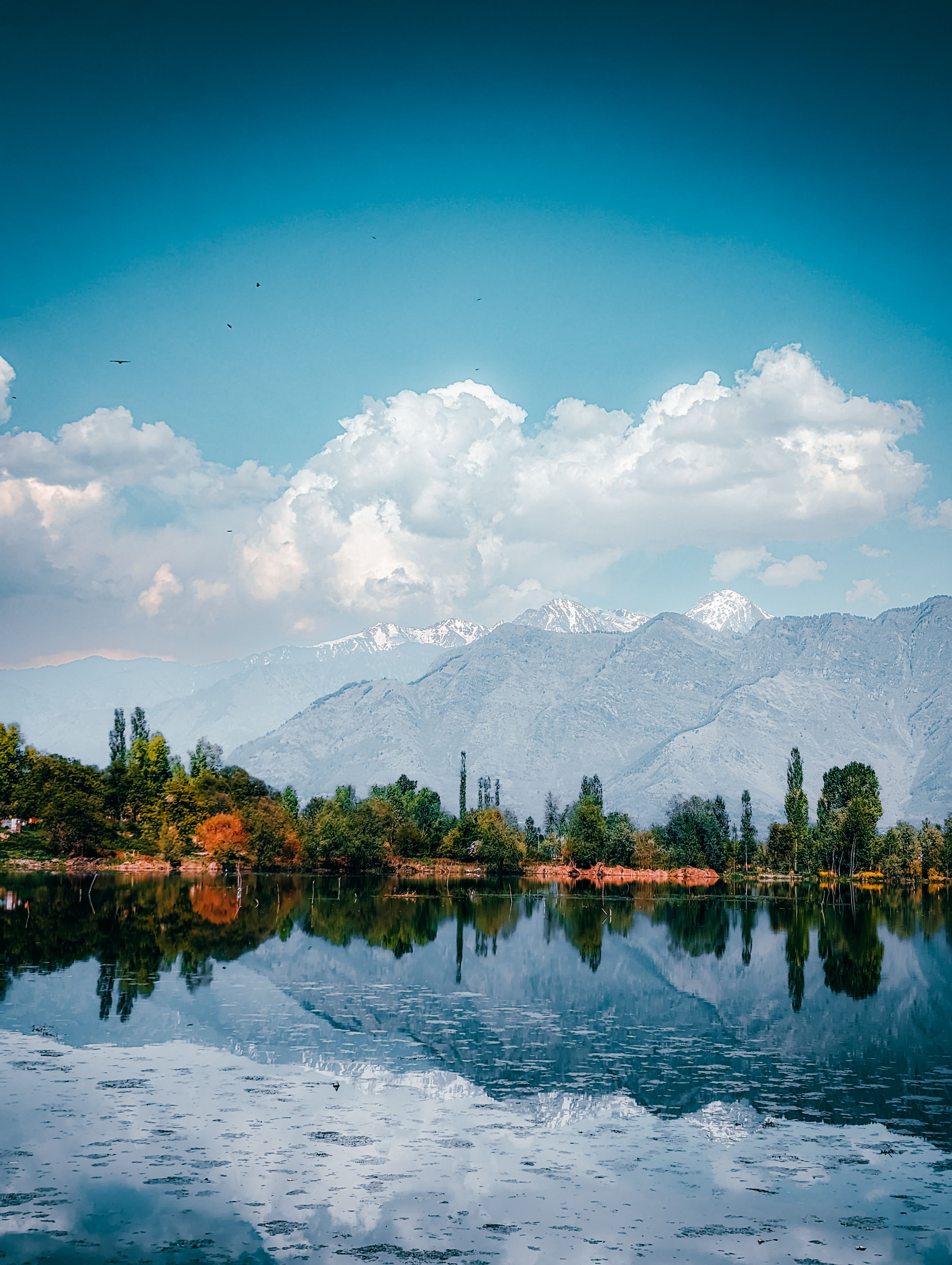 Srinagar