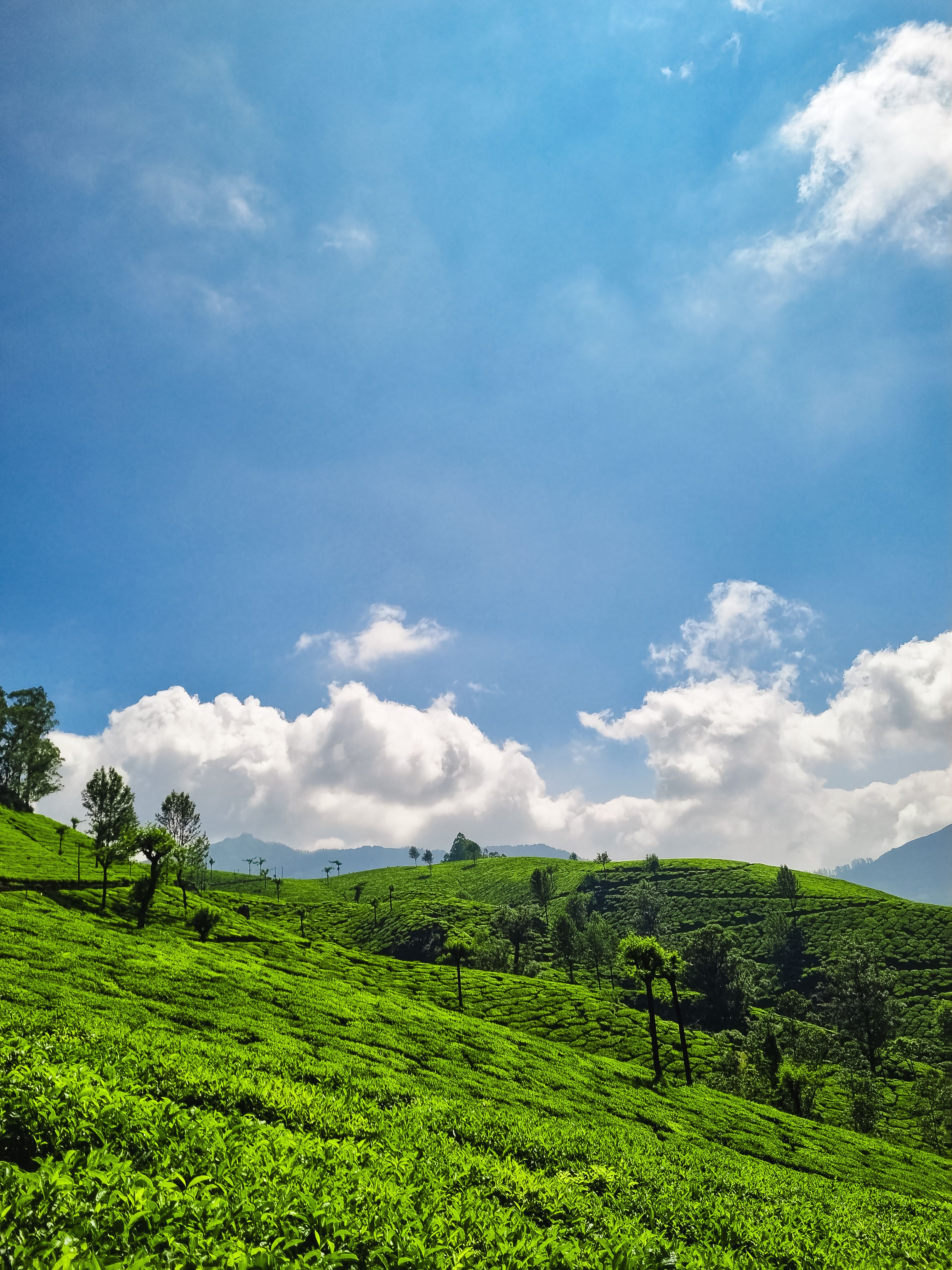 How to Reach Shimla