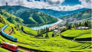 Ooty